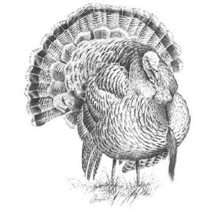 Thanksgiving Weekend in Wine Country